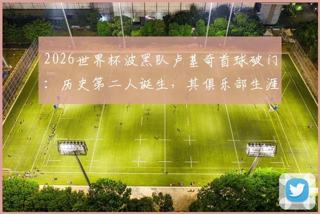2026世界杯波黑队卢基奇首球破门：历史第二人诞生，其俱乐部生涯与国家队处子球深度解析